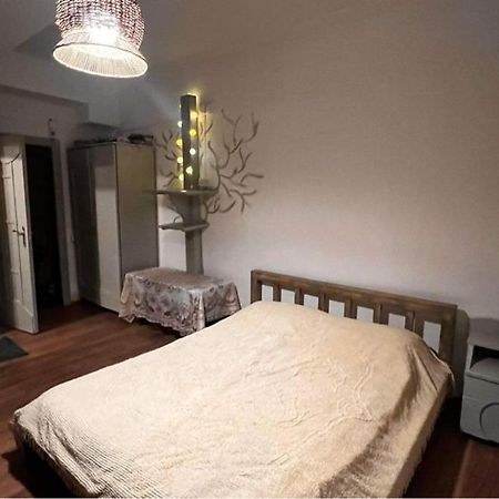 באקוריאני Hotel Mgzavrebi מראה חיצוני תמונה